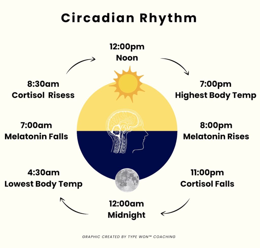 Circadian Rhythm Graphic Type Won™ Coaching